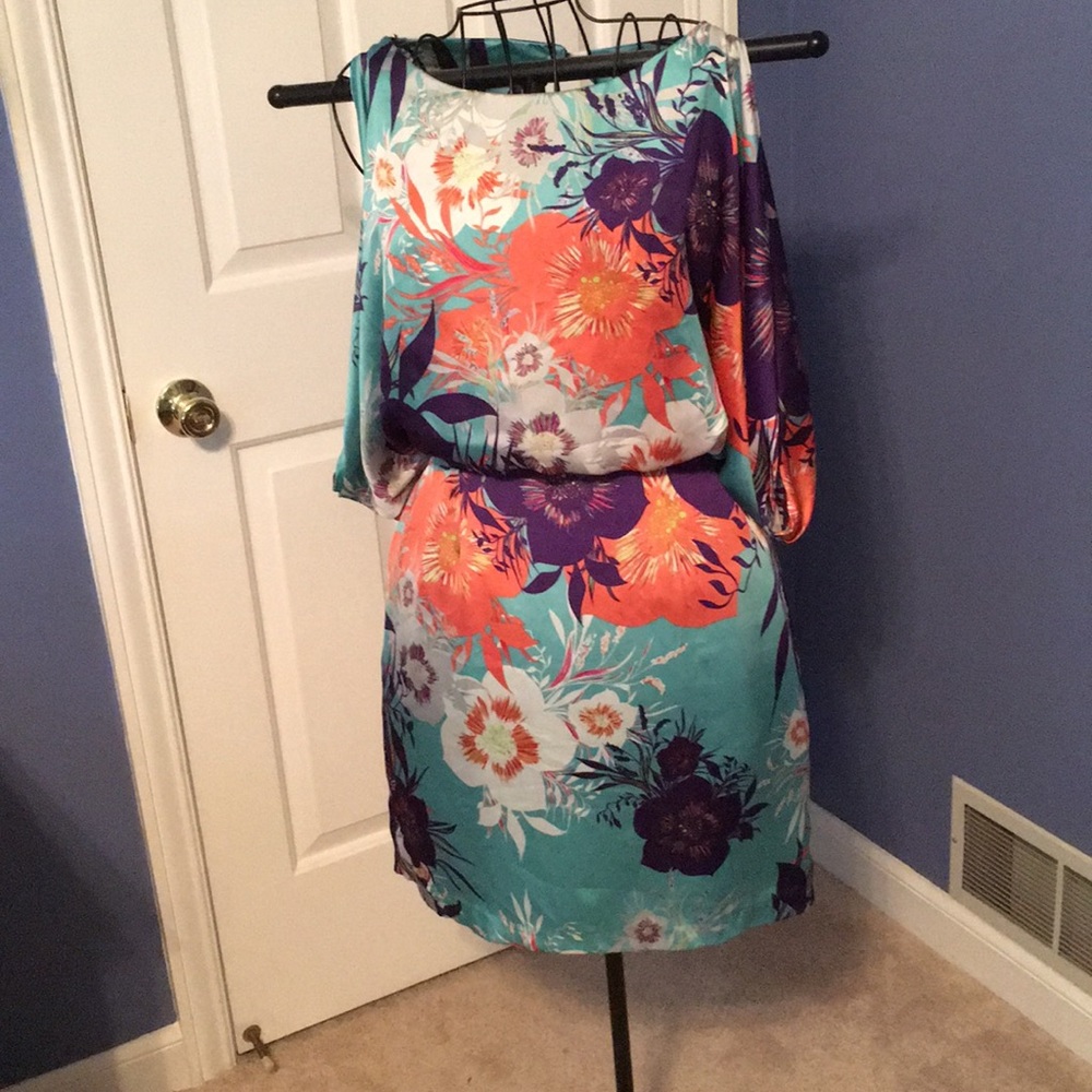 Bisou Bisou multi color dress